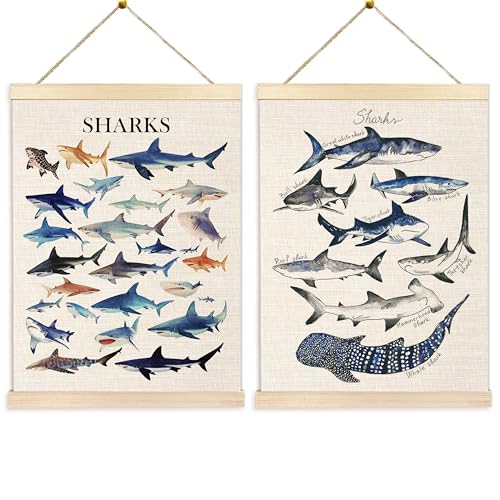 Image of Ecezatik Shark Wall Art Set of 2, Shark Posters, Hanging Wall Art Decor for Classroom, Nursery, Kids Room, Playroom, Beach, Ocean Room Decor, 12x16 Inch
