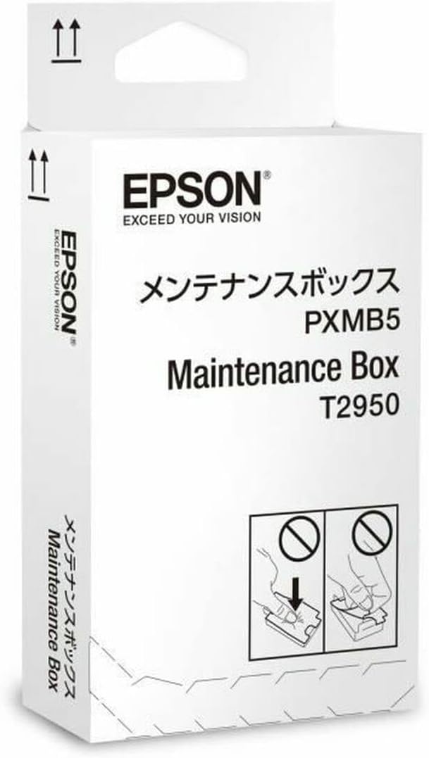 Epson C13T295000 - WF100W MAINTENANCE BOX,Black
