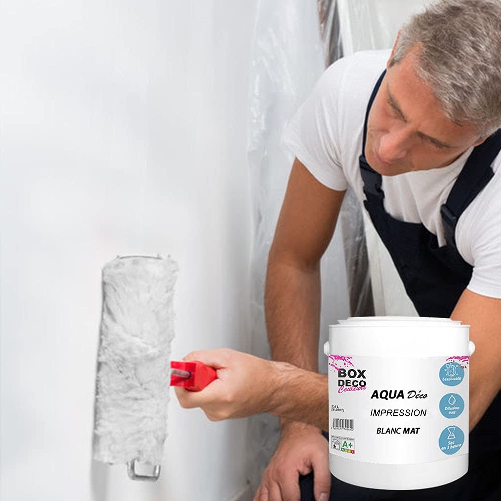 Pintura acuática para pared, color blanco mate (2,5L)