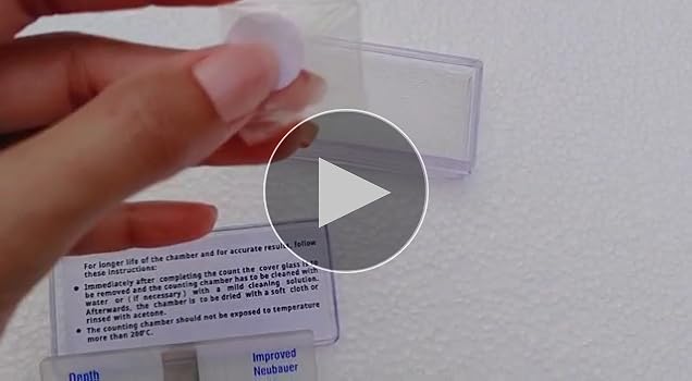 BEXCO Neubauer Improved Cell Counting Chamber - Brightline India