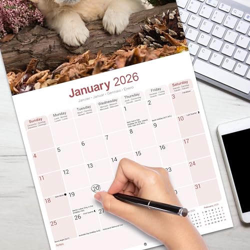 Golden Retriever Puppies Calendar 2026 Square Dog Puppy Breed Wall Calendar - 16 Month