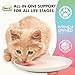 LIQUID-VET Premium 10-in-1 Cat Wellness Multi-Supplement: Glucosamine, Cranberry Extract, Prebiotics, for Cats – Ultimate Feline Joint, Urinary, Skin, Immune, Digestive Formula Specifically for Cats