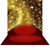 写真バックドロップwith床 – レッドカーペットStargaze – 10 x 20 ft。シームレスなファブリック