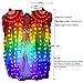 Upgrade 100% Silk Belly Dance LED Fans Veil - 1.8m Long Bamboo Fans Veil Hand Made Silk Fans for Dance/Outdoor