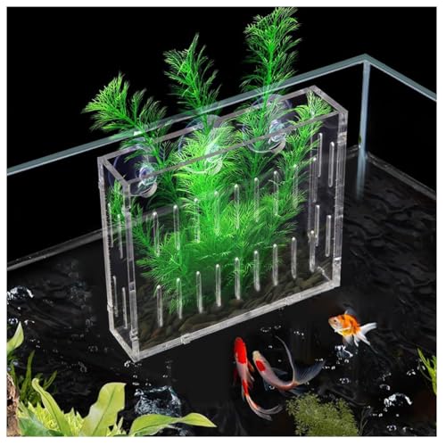 CHYG 水槽の植物ホルダー