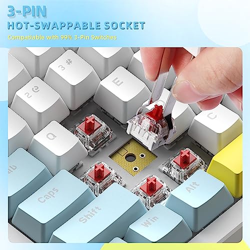 Image of LexonElec RK-84 Portable Mechanical Gaming Keyboard,Rainbow LED Backlit Compact 84 Keys Mini Wired Office Keyboard with Red Switch for Windows Laptop PC Mac-White /Blue /Orange