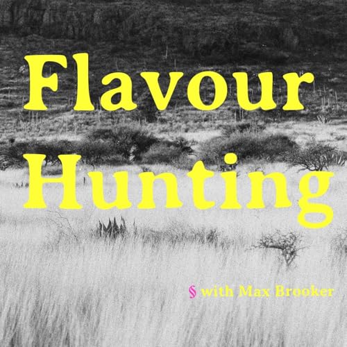 Flavour Hunting