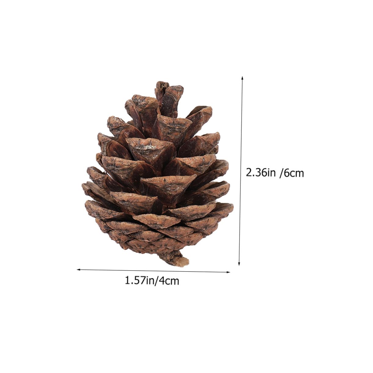 Sewroro Piñas Naturales Grandes 5-7 CM 30 Piezas para Manualidades Decoración Navideña Colgante Adornos Rústicos para Árbol de Navidad Fiestas y Proyectos DIY