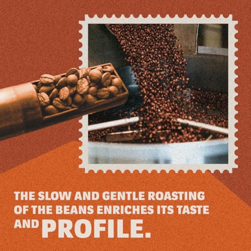 Image of Lavazza Tierra Brasile | Whole Roasted Bean Espresso | Traditional Drum Roasting | 1Kg Pack (Pack of 3)