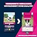 Eukanuba Welpenfutter mit frischem Huhn für mittelgroße Rassen, Premium Trockenfutter für Junior Hunde, 3 kg