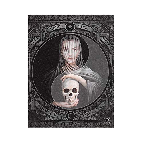 Image of Beespoke Gifts 19x25cm Beyond the Veil Canvas Plaque by Anne Stokes