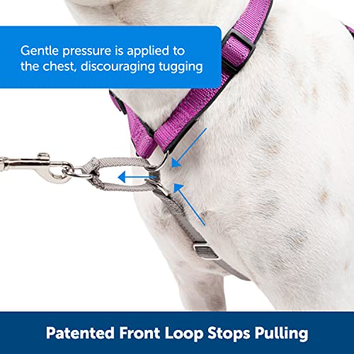 Petsafe 3 In 1 Dog Harness - No Pull Solution For Dogs - Reflective Dog Harness - Front D-Ring Clip Helps Stop Pulling - Comfortable Padded Straps - Top Handle Enhances Control - Black - Large #TOP1