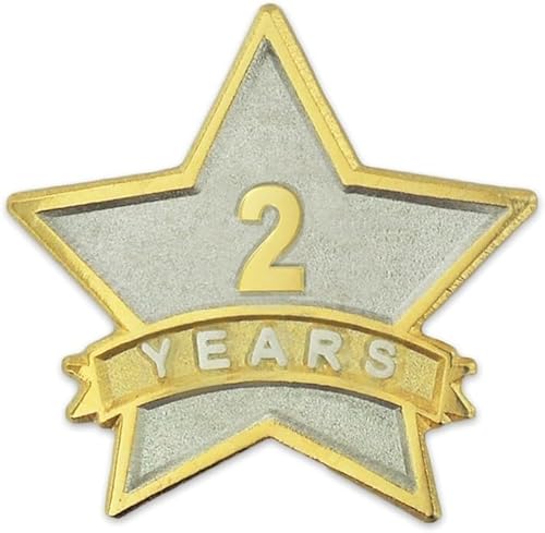 PinMart Year Service Award Lapel Pin - Gold & Silver Plated