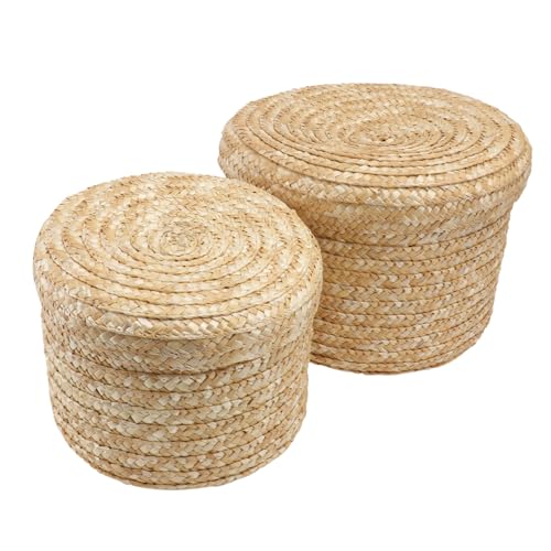 Hohopeti 2 Piezas Cestas de Almacenamiento con Tapa de Unidades Cajas Organizadoras Multifuncionales para Hogar Cestas Duraderas de Diseño Sencillo para Guardar Juguetes y Objetos Varios