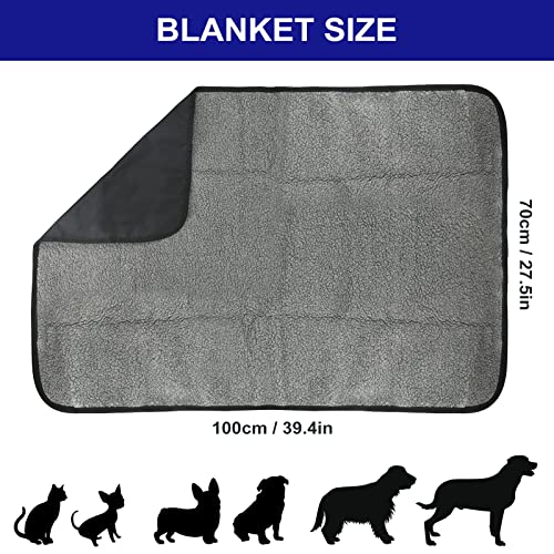 PokeAir Hundedecke Outdoor Wasserdicht Waschbar Haustier Decke für Unterwegs Camping Hund Katze Mat Wärmende Decke mit Tasche Hundebett Hundematte Große Reisedecke 100x70cm mit Tierhaarentferner