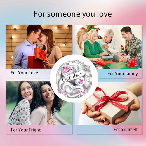 Image of Birthstone Charm 925 Sterling Silver Charms fits Bracelets and Necklace Pendant Bead Happy Birthday Charms Jewelry Present for Women Family Friends
