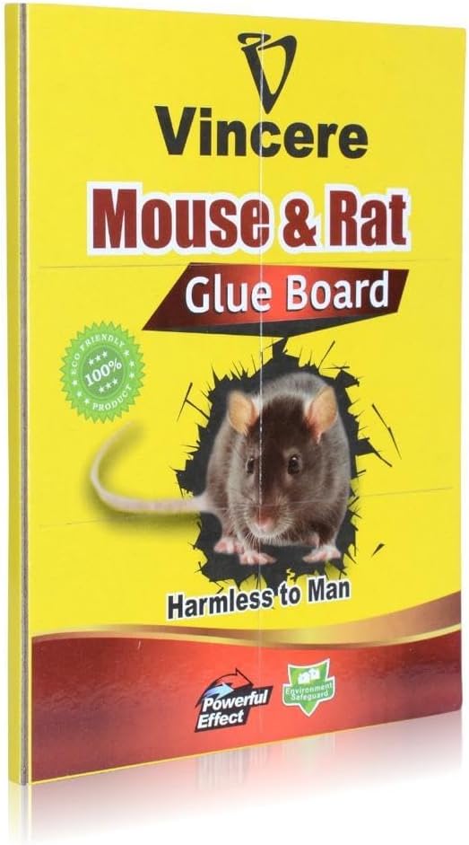 Vincere mouse and rat glue bord