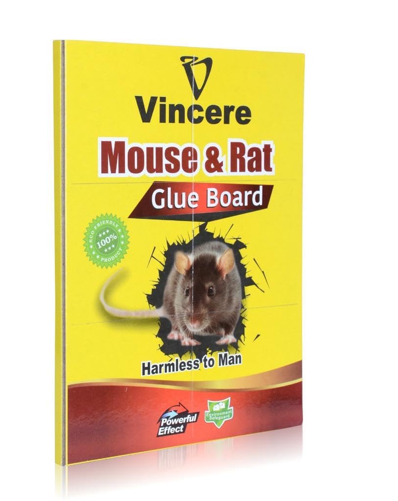 Vincere mouse and rat glue bord