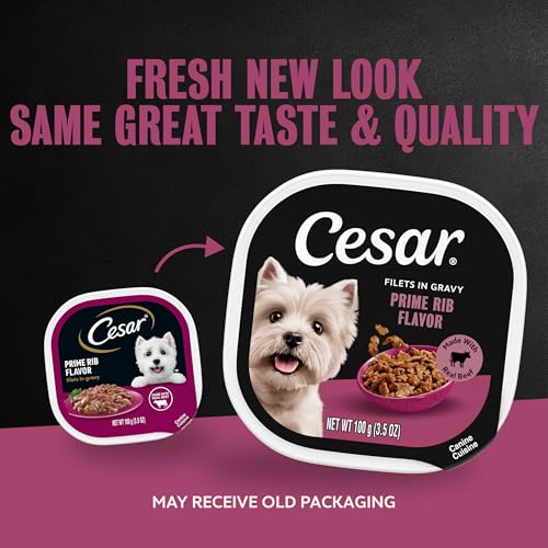 Image of Cesar Filets in Gravy Wet Dog Food, Prime Rib Flavor, 3.5 oz, 24 Count | Real meat, easy to digest, no fillers, no added sugar, no artificial flavors, slow-cooked tender texture, easy peel trays