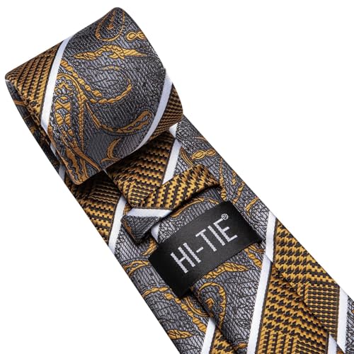 Image of Hi-Tie Mens Paisley Floral Striped Ties Set Silk Necktie and Lapel Pin for Men Pocket Square Cufflinks Set Business Wedding