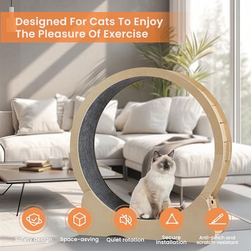 Cat Exercise Wheel for Indoor Cats Treadmill, Cat Running Wheel with Carpeted Runway, 39.4 inch Cats Fitness Weight Loss Device Suitable for Most Cats.(L) - Image 3