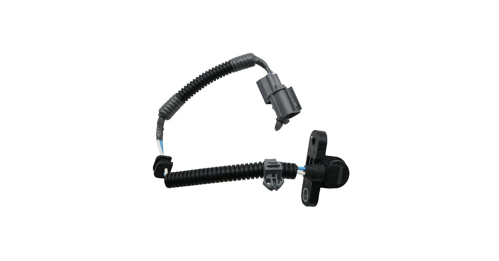 掛軸 172 超世代KAKEJIKUシリーズ キングギドラ 掛軸 - 紀伊國屋書店