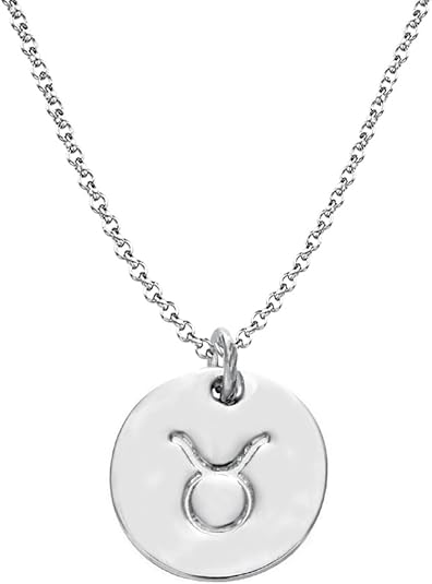 925 Sterling Silver Zodiac Necklace Disc Charm Necklace Gift for Your Wife Girlfriend or Family Member