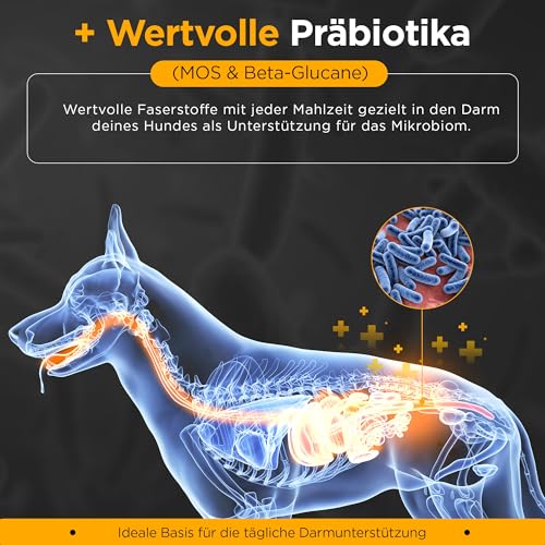 Balloony Softes Trockenfutter für Hunde | Halbfeuchtes Superfood mit Bio-Huhn | Präbiotische Rezeptur mit Inulin aus Chicorée, MOS & Beta-Glucanen | Für ausgewachsene Hunde (500 g)