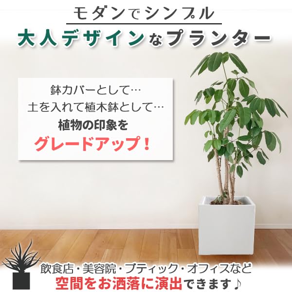 Amazon.co.jp: プランター 小型 20×20cm スクエア 正方形 深型