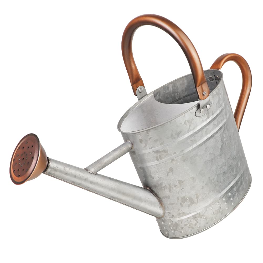 Photo 1 of Megawodar 1 Gallon Metal Watering Can with Removable Spout, Nice Galvanized Steel Water Can with Embossed Design for Indoor and Outdoor Plants