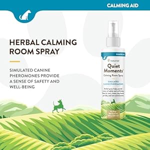   NaturVet-Quiet-Moments-Herbal-Calming-Room-Spray-Dog-Supplement--Ideal-for-Cars-Dog-Crates-New-Environments--Helps-Reduce-Pet-Stress-Storm-Anxiety-Motion-Sickness--8-Oz
