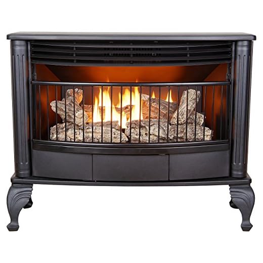 ProCom Dual Fuel Vent-Free Stove