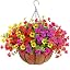 Mix 4 Colors-1pack