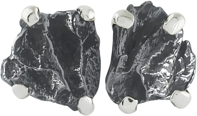 Starborn Creations Campo del Cielo Post Style Earrings