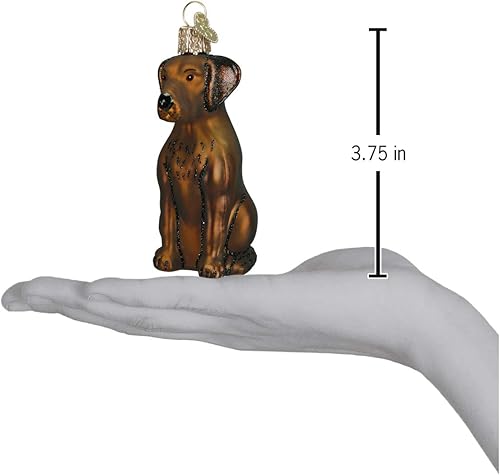 Miniatura 5 de Old World Christmas Dog Collection - Adornos de cristal soplado para árbol de Navidad, labrador de chocolate, modelo 12387