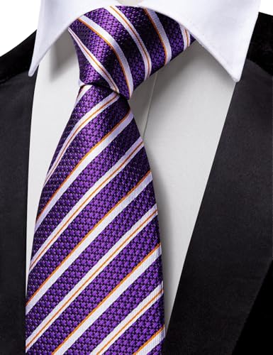 Image of Barry.Wang Silk Men Ties Formal Stripes Necktie and Tie Clip for Wedding Party Business Fashion Classic