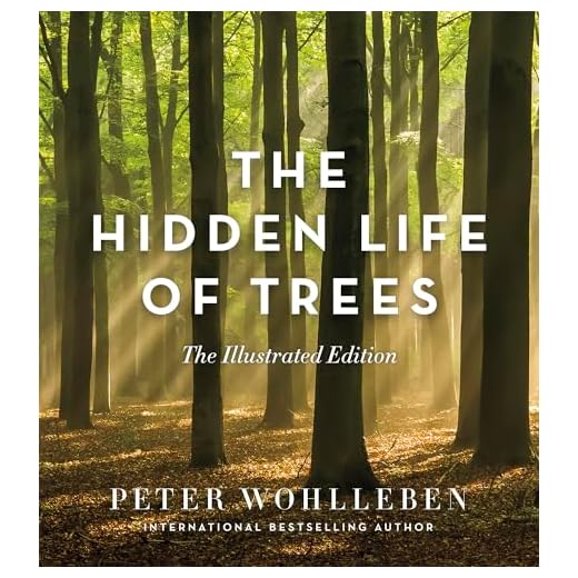 The Hidden Life ofTrees: The Illustrated Edition
