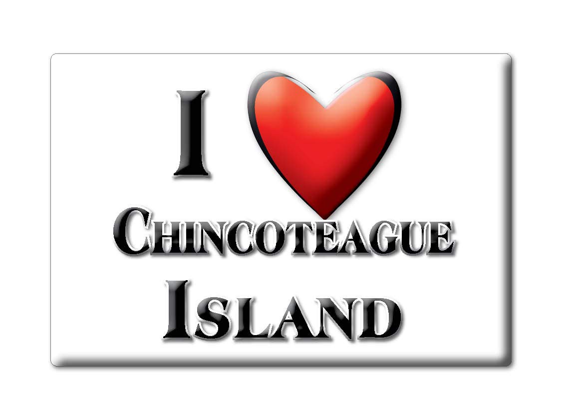 Chincoteague Wildlife Refuge Virginia Fridge Magnet - Travel Souvenir Collection Gift