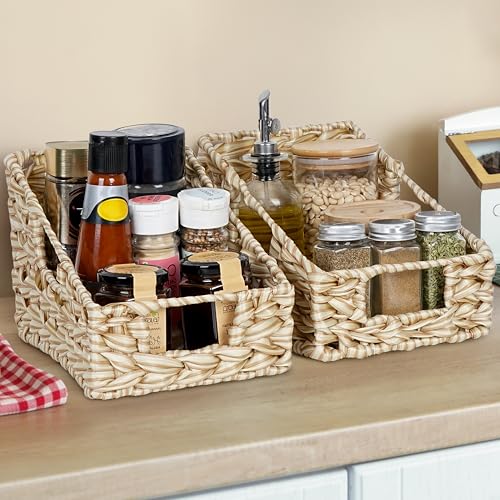 Winter Shore Cesta Tejida con Asas (Pack de 2) - Cestas Mimbre para Organizar - Cesta Almacenaje Decorativa para Estanterías - Contenedores de Almacenaje con Asas - Cesto Mimbre Pequeño para Despensa