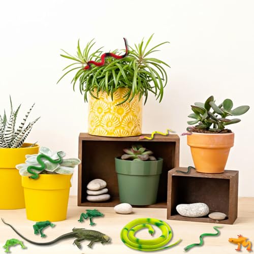 image for Pinowu 14pcs Realistic Rubber Forest Snake Animals, 1 Lizard + 4 Frog 