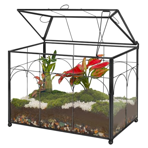 REDHUGO Handmade Glass Planter Terrarium with Lid Indoor Tabletop Centerpiece Display Box Modern Decor DIY Gift Plant Terrarium Container for Succulent Cacti Air Plants Flower (Black)