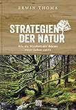 Strategien der Natur: Wie die Weisheit der Bäume unser Leben stärkt