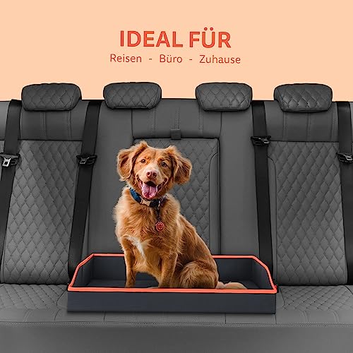 Bestlivings Faltbares Haustierbett für Kleine Hunde und Katzen - Orange - (80cm x 60cm) Reisebett - tragbares Hundebett mit stabilem Rahmen