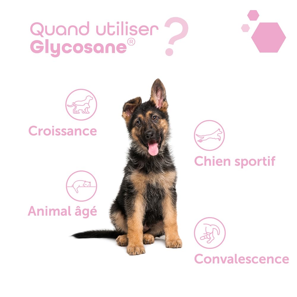 MP Labo Glycosane® - Soutien de la Fonction Articulaire pour Chien et Chat (100 gélules)