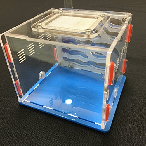 Leane Creatief Ameisenfarm mit Futterplatz, Ameisennest Villa für Haus Ameisen (blau)