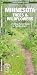 Minnesota Trees & Wildflowers: A Folding Pocket Guide to Familiar Plants (Wildlife and Nature Identification)