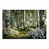 CUDAOO Lienzo Con Paisaje Arte De Pared Bosque de abedules blancos Cuadros Modernos para Salón Oficina Escaleras Sala de Yoga（verde-70x100cm Sin marco