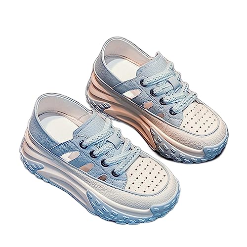 [LECMT] Xj[J[ x[VbN fB[X C V[Y ؂ t  H u[ ~ n tbg\[ Vv  ʋ ʊw d y y C w oZ wZ ₷ ₷ ɂ 22.5cm i