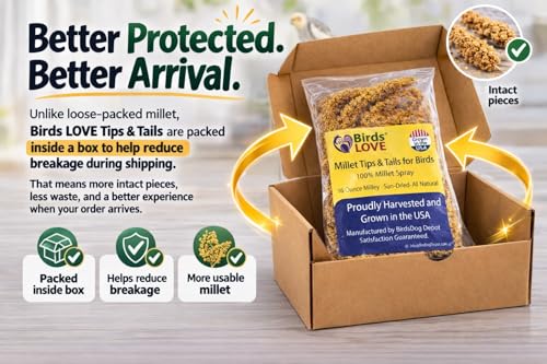 Birds LOVE Millet Tips & Tails for Birds - Parakeets, Cockatiels, Lovebirds, Finches, Budgies, Canaries, Cockatoos - Natural & Healthy Millet for Birds - Parakeet Food & Treats for All Parrots, 1lb - Image 3