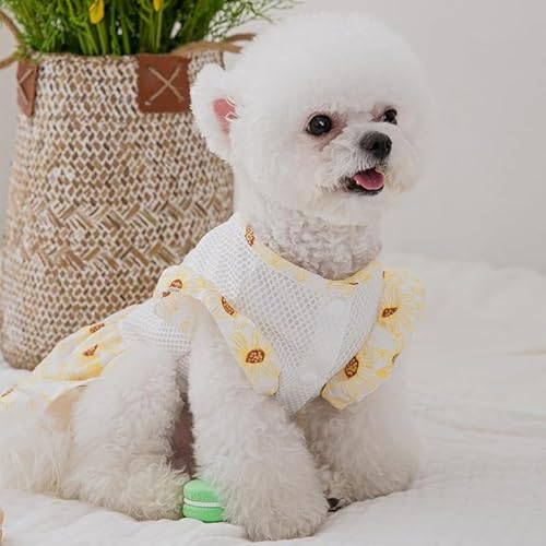 [SeitenFB]̕ lR Lp ybg tH^ ʋC   hbOEGA ˂  s[X t@bV^ ^ CG[ S